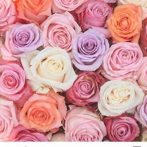 Meet your Posher, Maria